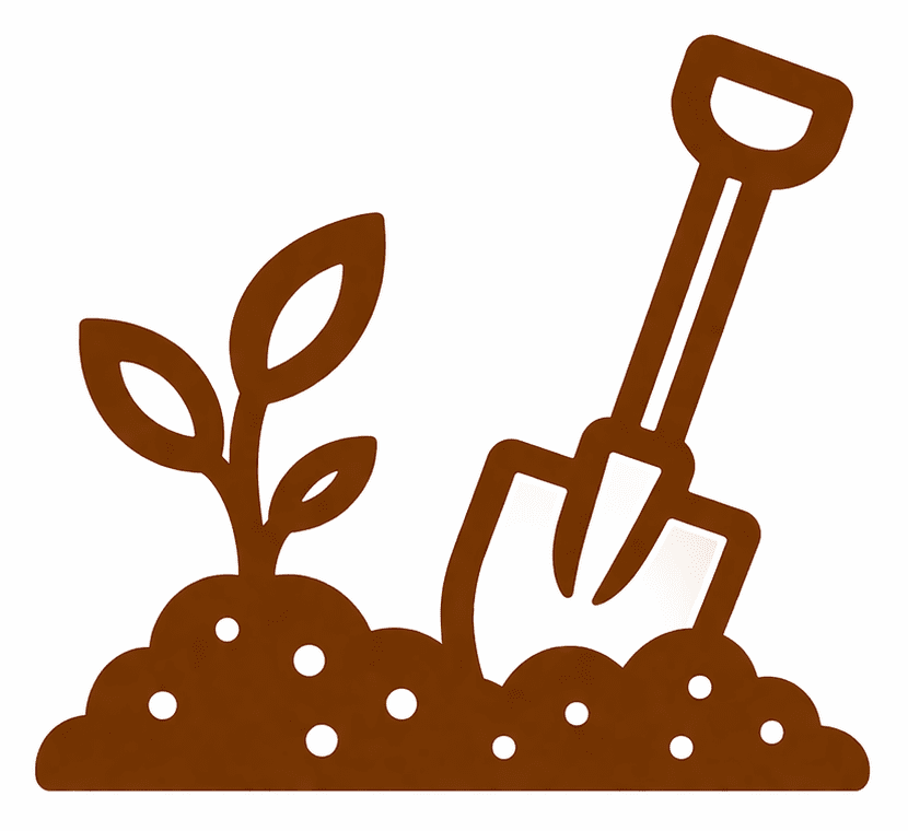 Landscaping & backyard preparation